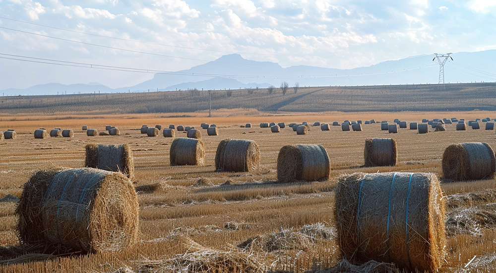 Cosecha agr&iacute;cola de paja